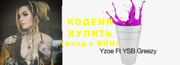 хмурый Алексин