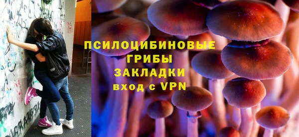 гашик Абинск